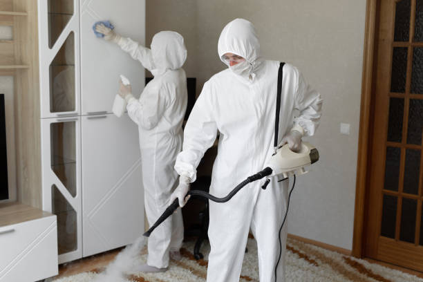 Best Certified Mold Removal  in Maywood, NJ
